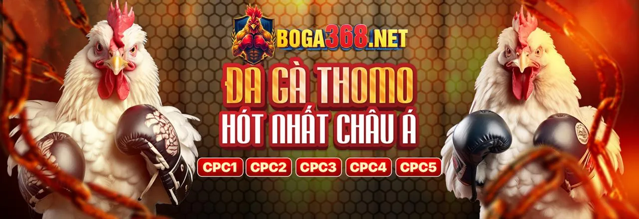 Giao diện mới nhất của ứng dụng siu88
